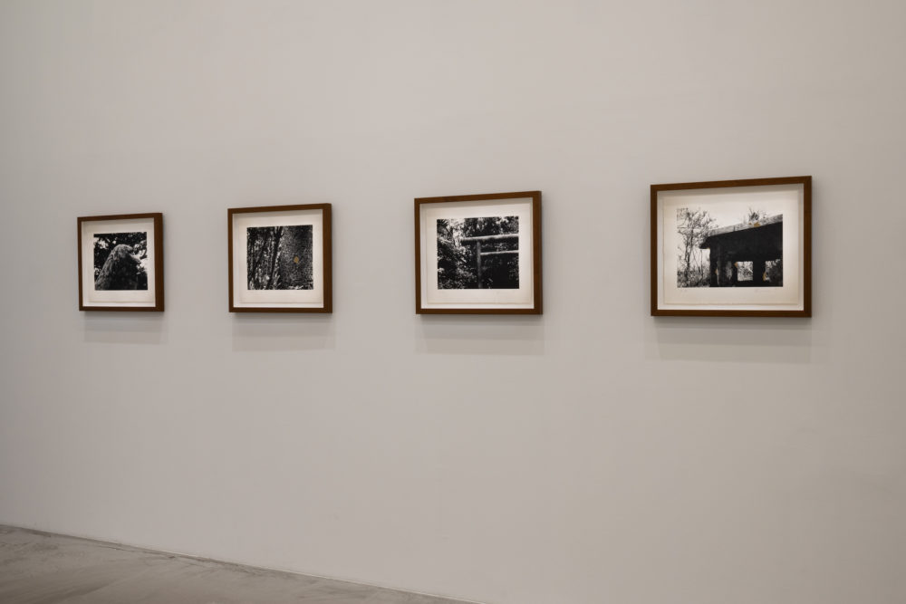 Kento Terada | Interrogating Photographs: part 2 “the gunshot still echoes”