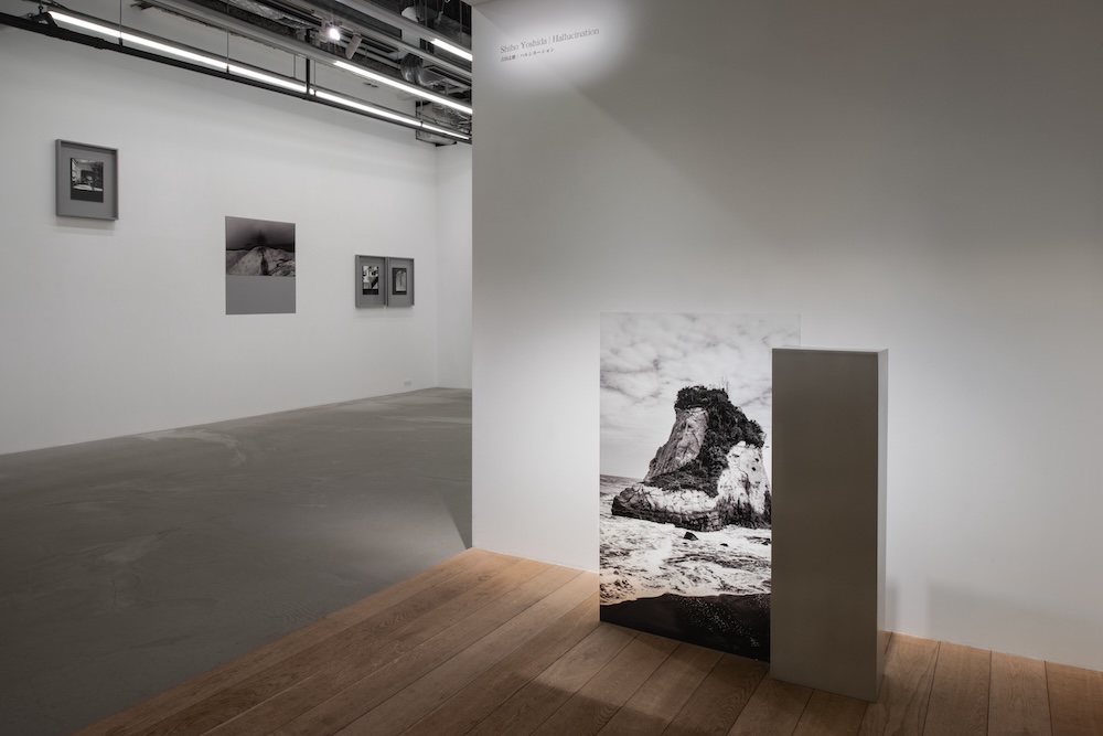 Shiho Yoshida | Hallucination